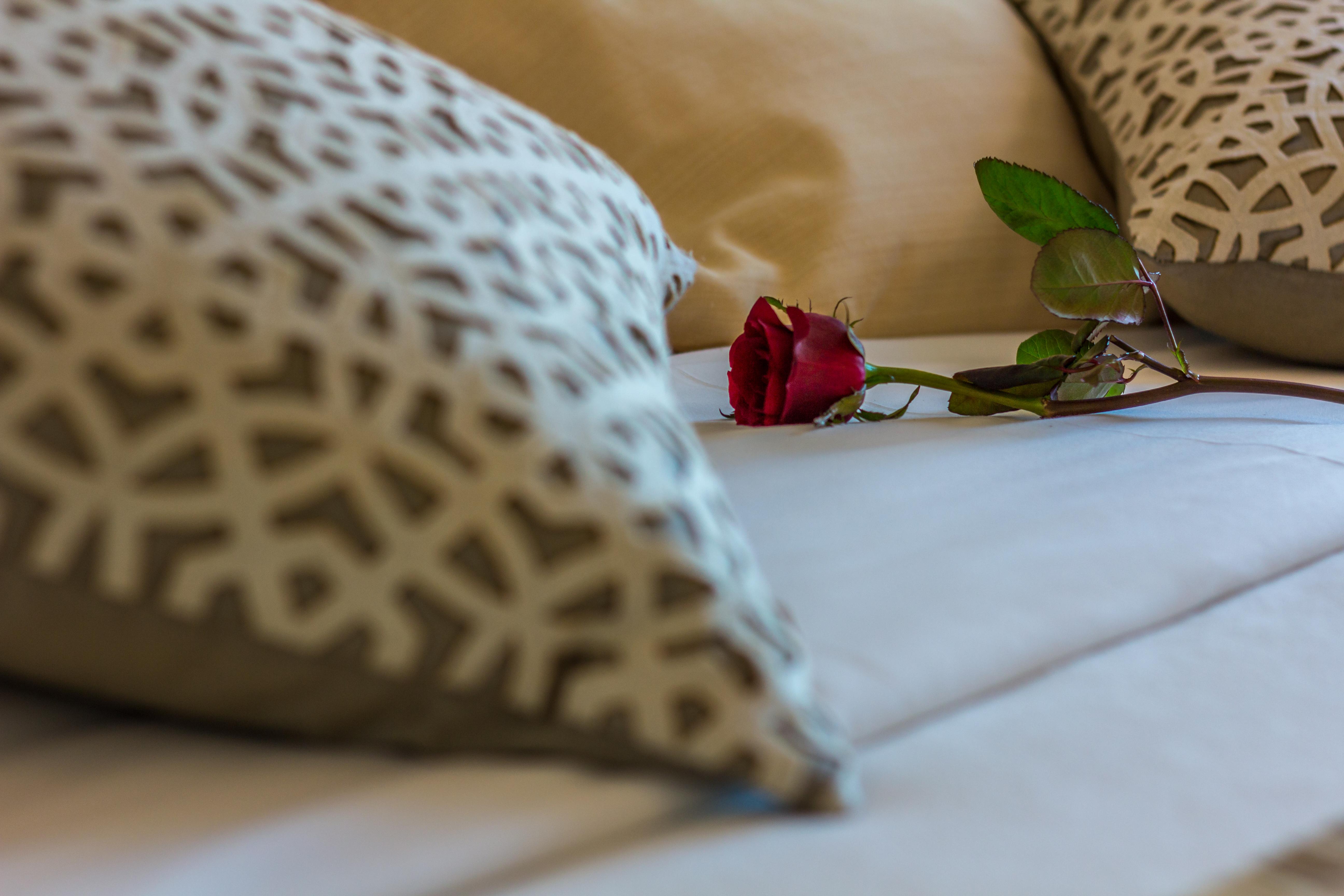 Hotel Sao Sebastiao De Boliqueime Zewnętrze zdjęcie